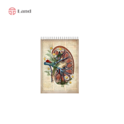 دفتر نقطه ای 80 برگ نئوپک طرح کلیه سایز A6