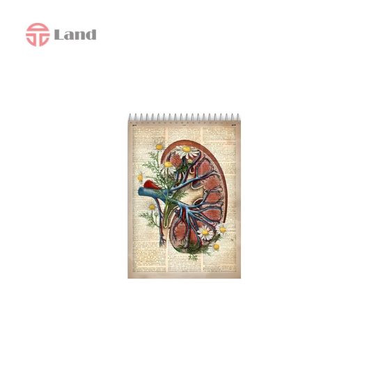 دفتر یادداشت 80 برگ نئوپک طرح کلیه سایز A6