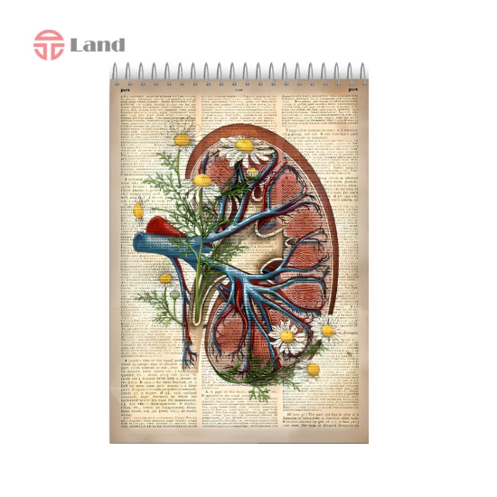 دفتر 80 برگ نئوپک طرح کلیه سایز A4