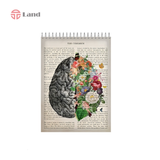 دفتر شطرنجی 80 برگ نئوپک طرح مغز سایز A5